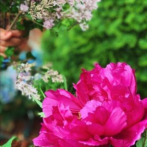 Meet your Posher, Emma